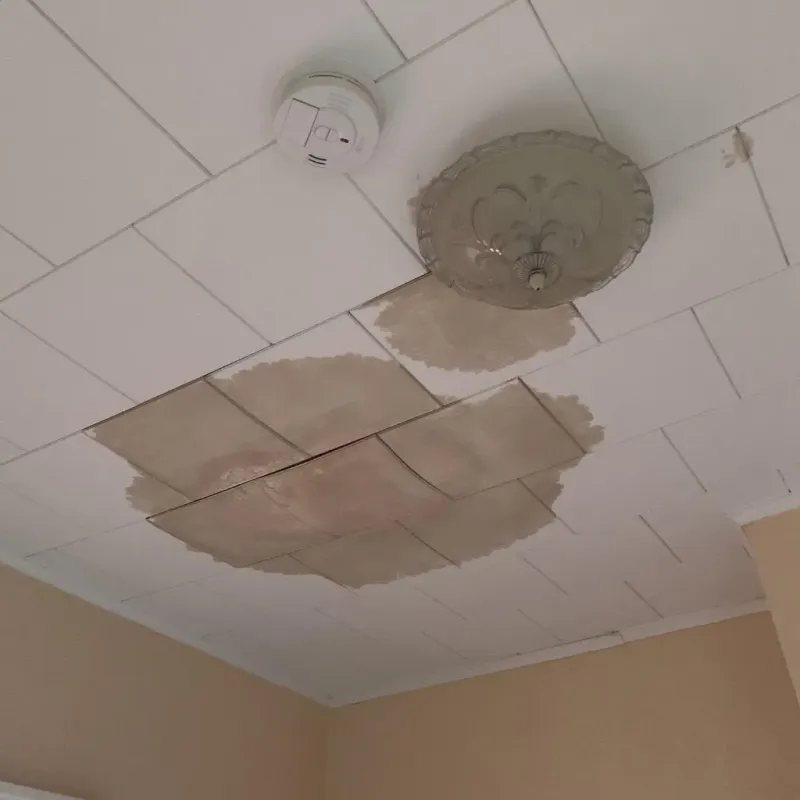 Ceiling Water Damage Repair in Darke County, OH