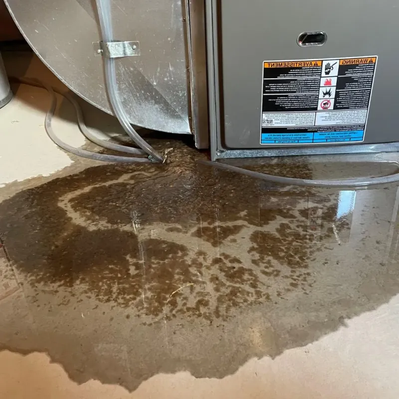 Pipe Burst and Leak Restoration in Darke County, OH